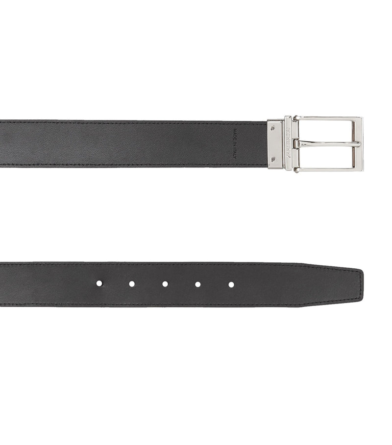 Reversible E-Canvas and Leather Belt